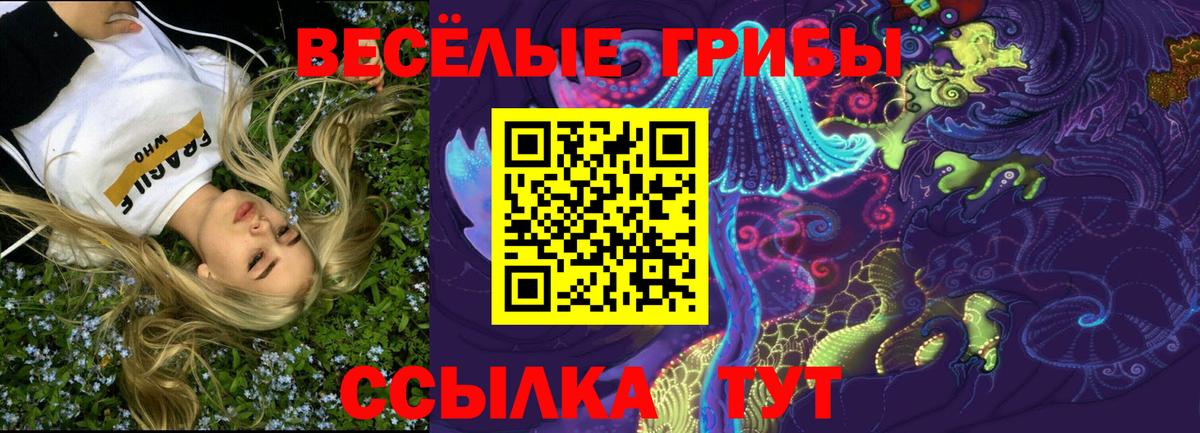 Галлюциногенные грибы GOLDEN TEACHER Сергиев Посад